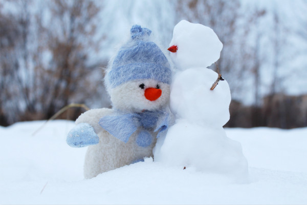 christmas-cold-friends-269370.jpg